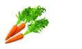 Морковь остроносая (10-15 см)